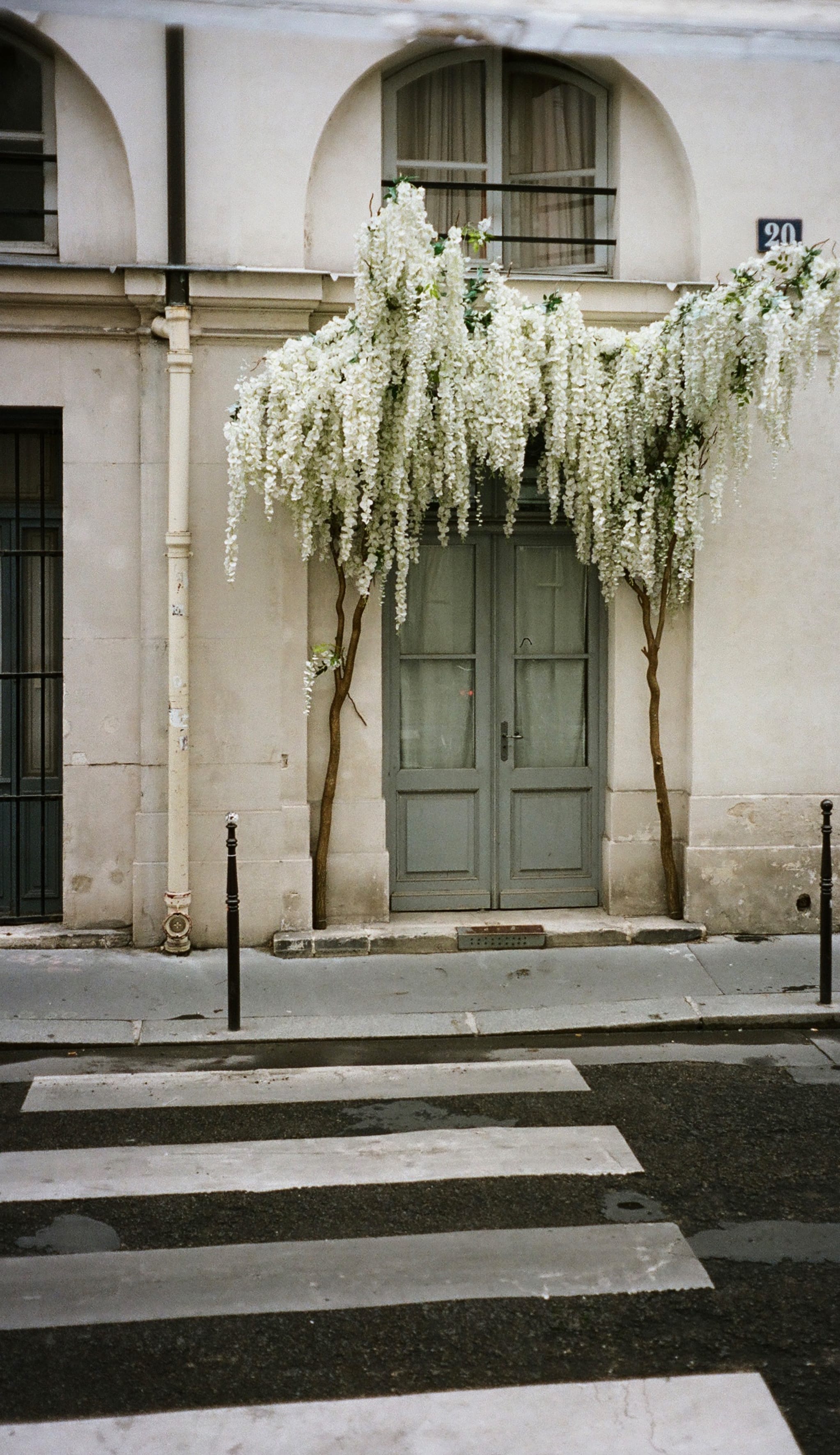 wet street